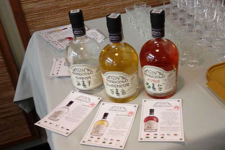(Futuro tutto da scoprire per il Gin L’Italia investa, i Cavallero fanno scuola) (Futuro tutto da scoprire per il Gin L’Italia investa, i Cavallero fanno scuola)