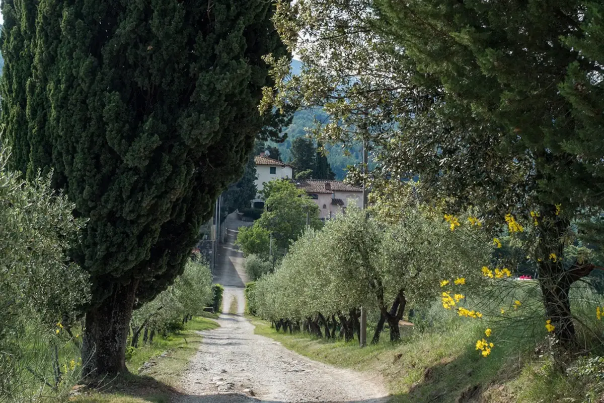Podere Castellare Podere Castellare rilancia il gin italiano