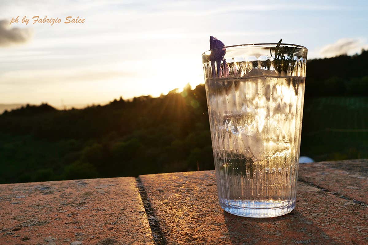 Gin Tonic a base di Peter in Florence Peter in Florence, un classico Un London Dry Gin tutto toscano