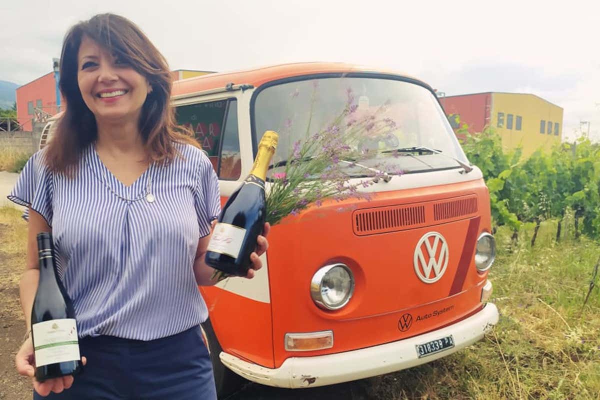 Strada del vino e dei sapori dell'Etna: un nuovo logo per un nuovo corso Strada del vino e dei sapori dell'Etna: un nuovo logo per un nuovo corso