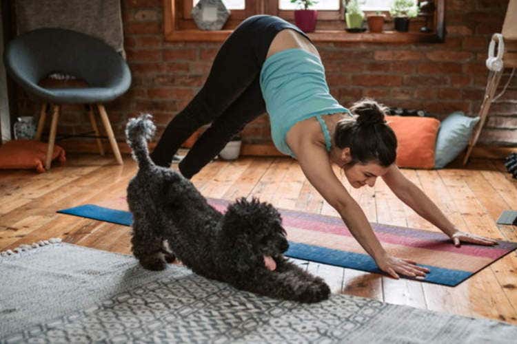 Esercizi domestici - A casa come in palestraEsercizi contro l’inattività