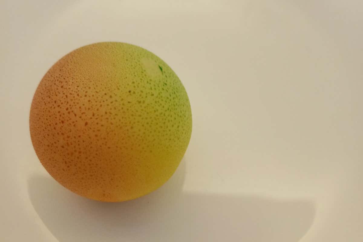 Dessert in chiave... spazialismo Santa Sofia, ecco il nuovo Gioè. Segni particolari: elegantissimo