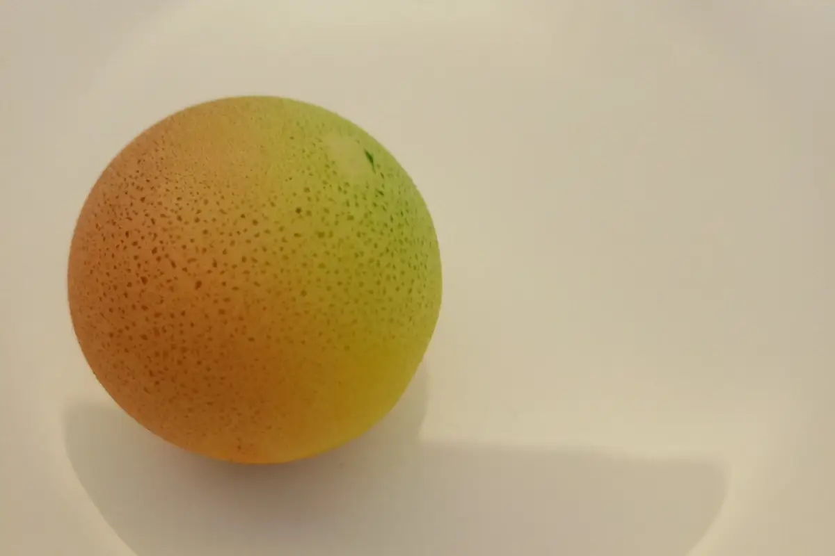 Dessert in chiave... spazialismo Santa Sofia, ecco il nuovo Gioè. Segni particolari: elegantissimo