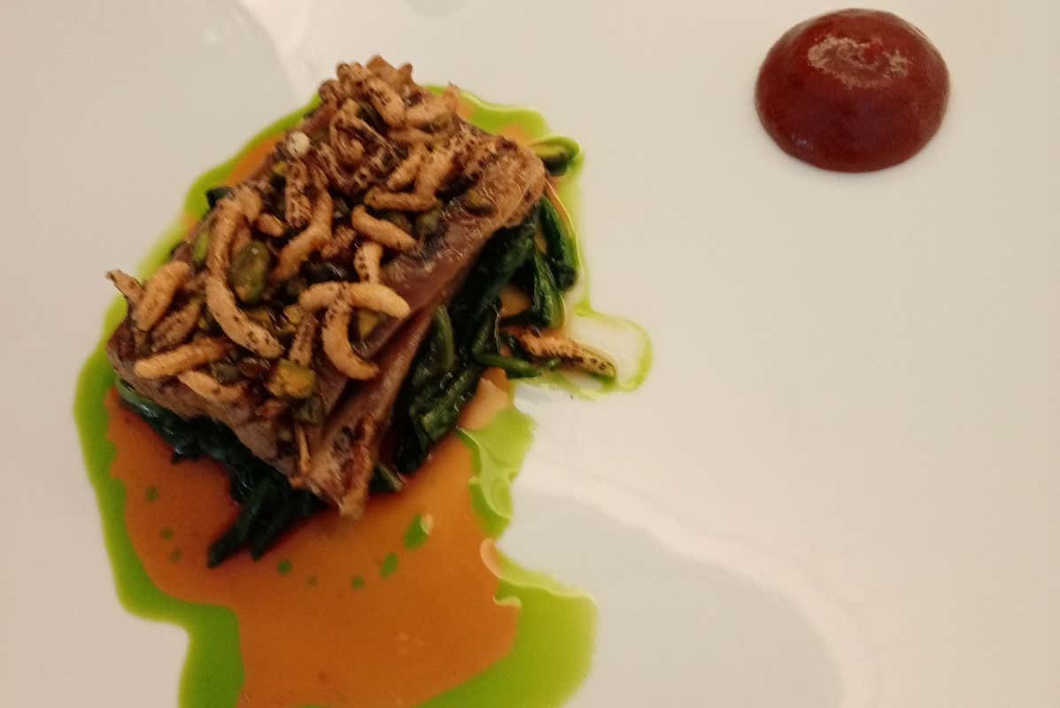 Manzo e cicoria Santa Sofia, ecco il nuovo Gioè. Segni particolari: elegantissimo