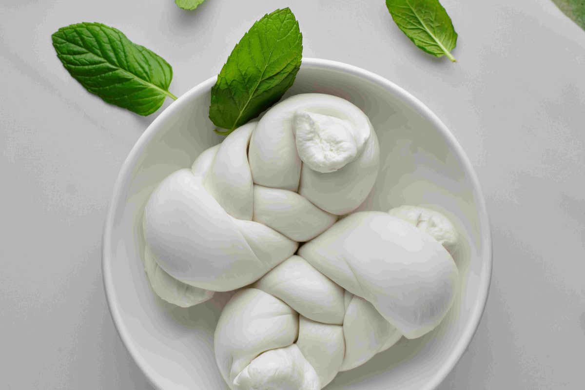 Le trecce di mozzarella di Gioiella