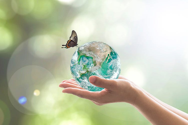 Oggi è la Giornata mondiale dell'ambiente - 