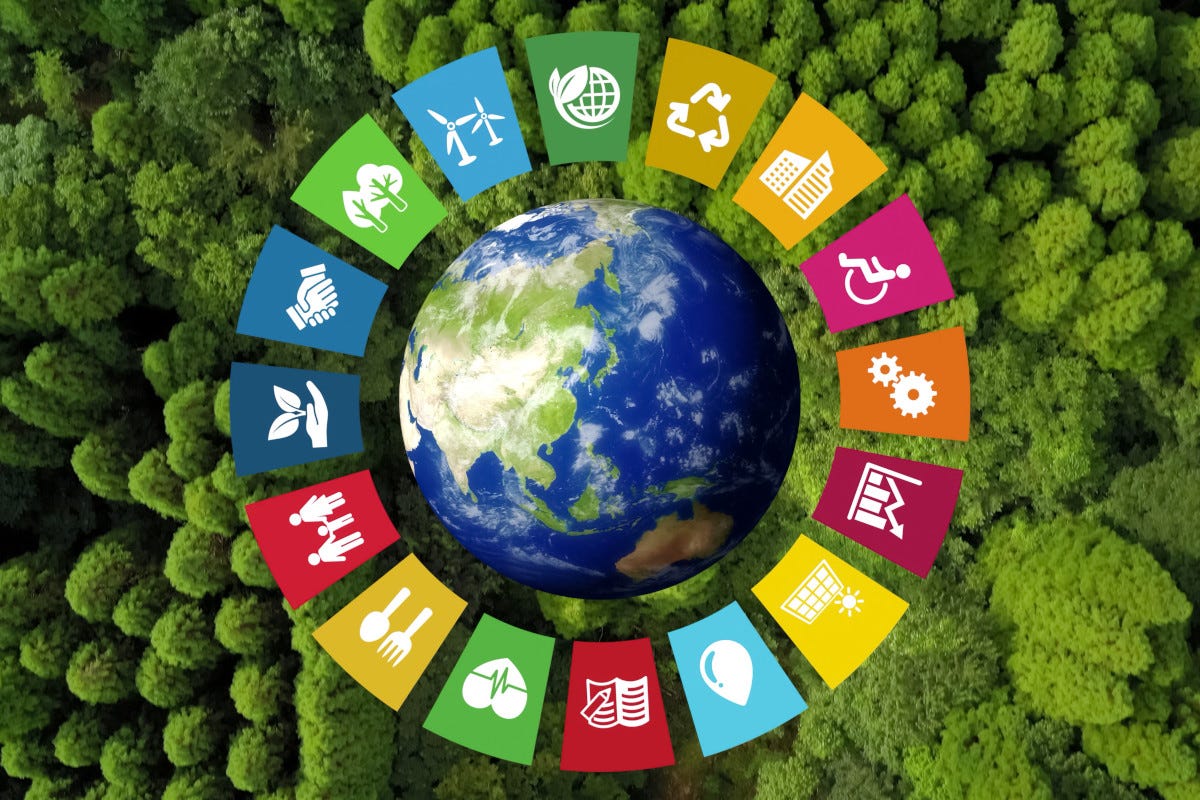 Giornata mondiale dell'ambiente: ecco perché il futuro deve essere sostenibile
