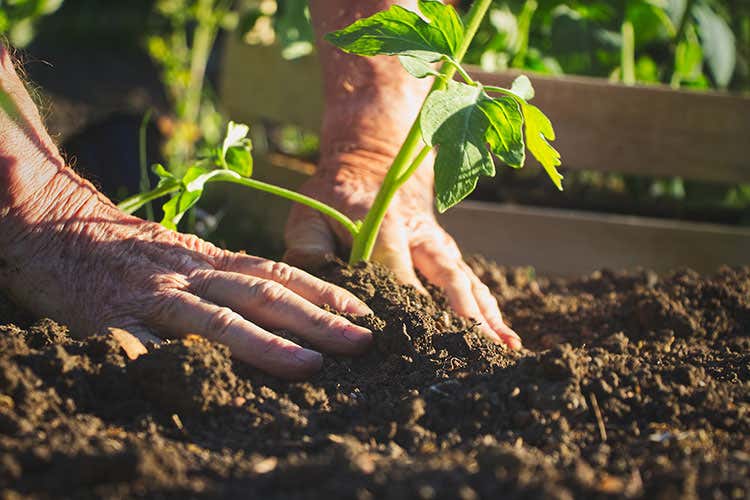 Giornata mondiale dellambiente (Giornata Mondiale dell’Ambiente Agroalimentare italiano il più green) Giornata mondiale dellambiente (Giornata Mondiale dell’Ambiente Agroalimentare italiano il più green)