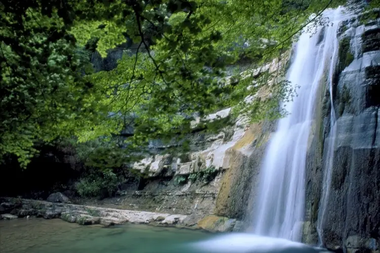 Si parte il 2 giugno per poi proseguire per tutta l&rsquo;estate Giornate Verdi in Emilia-Romagna 200 esperienze da vivere all'aperto