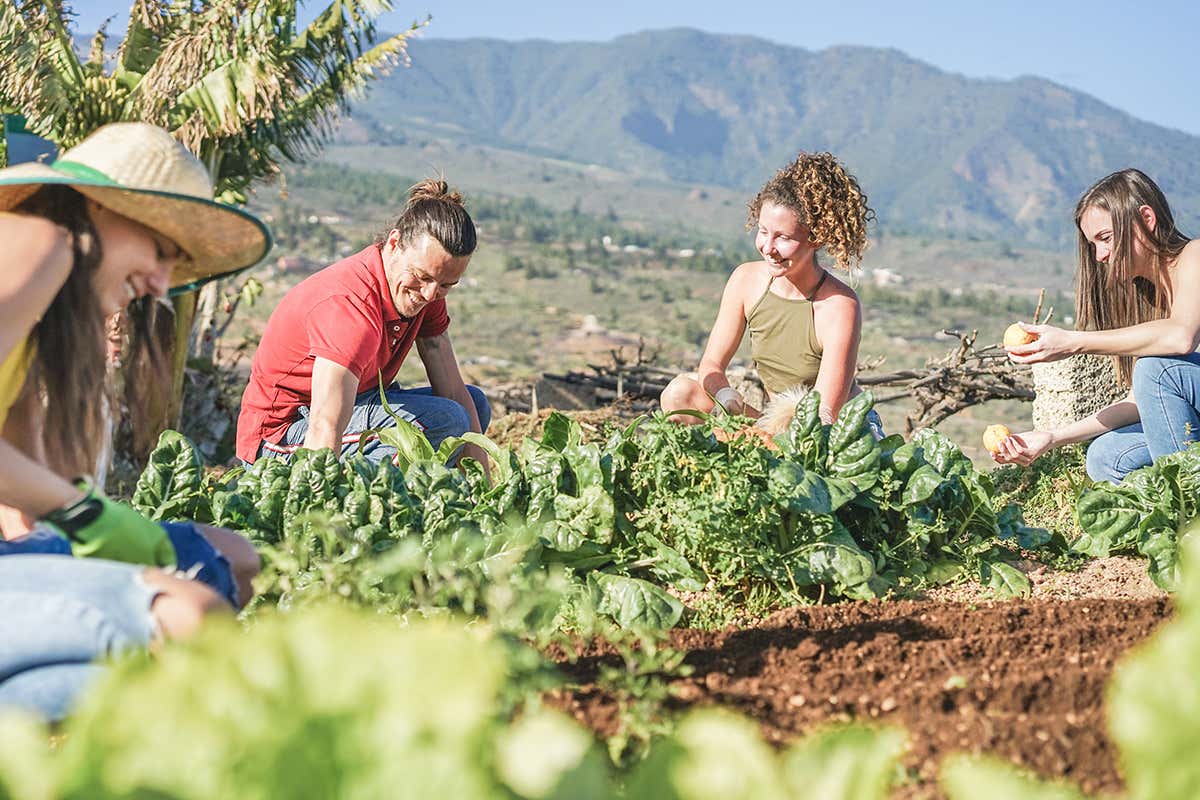 Agricoltura e giovani: la scommessa della Lombardia che finanzia le start-up Agricoltura e giovani: la scommessa della Lombardia che finanzia le start-up