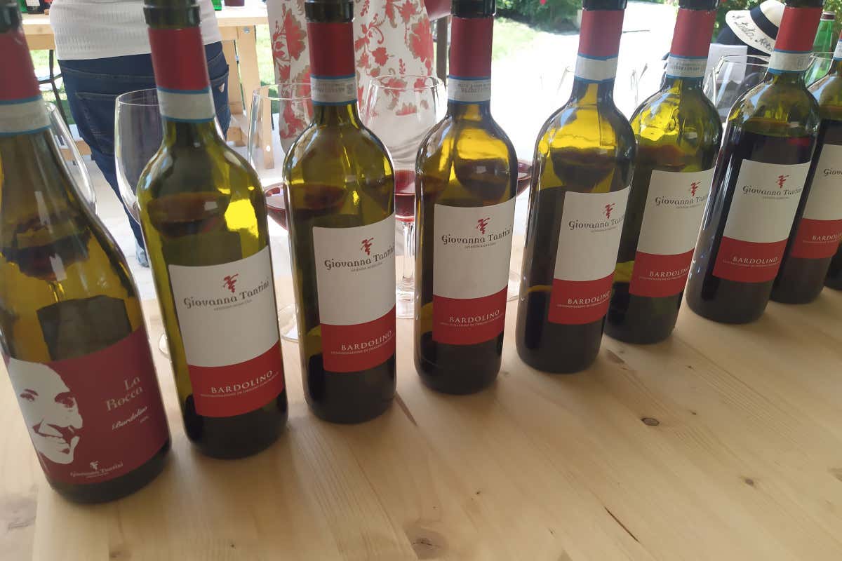 Un Bardolino che non lascia spazio a fraintendimenti: è quello di Giovanna Tantini