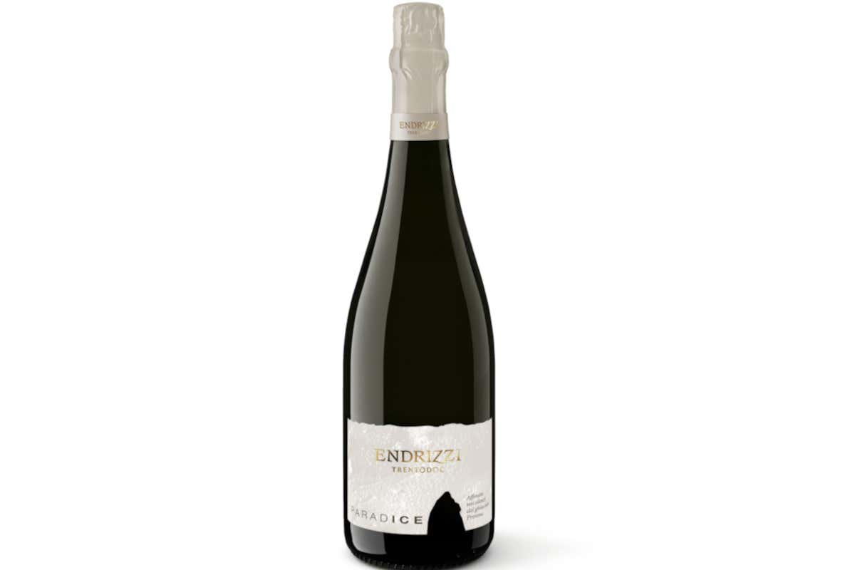 Paradice, le bollicine che nascono tra i ghiacci del Presena Paradice, le bollicine che nascono tra i ghiacci del Presena