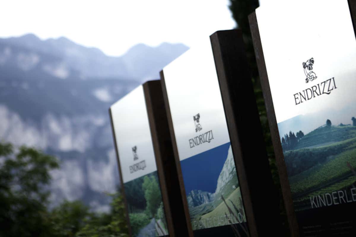 Paradice, le bollicine che nascono tra i ghiacci del Presena Paradice, le bollicine che nascono tra i ghiacci del Presena