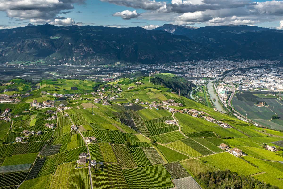 La cantina in Alto Adige dove il vino nasce dal lavoro di 200 famiglie