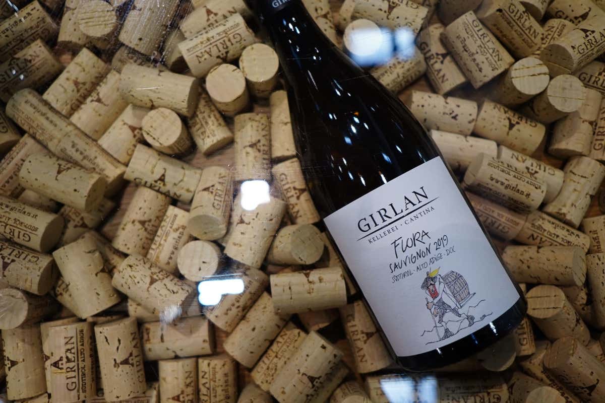 Cantina Girlan: la scelta di puntare sul Pinot Nero