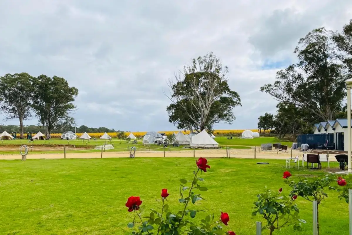  Australia - Coonawarra Bush Holiday Park Il giro del mondo outdoor &egrave; possibile. Ecco qualche idea