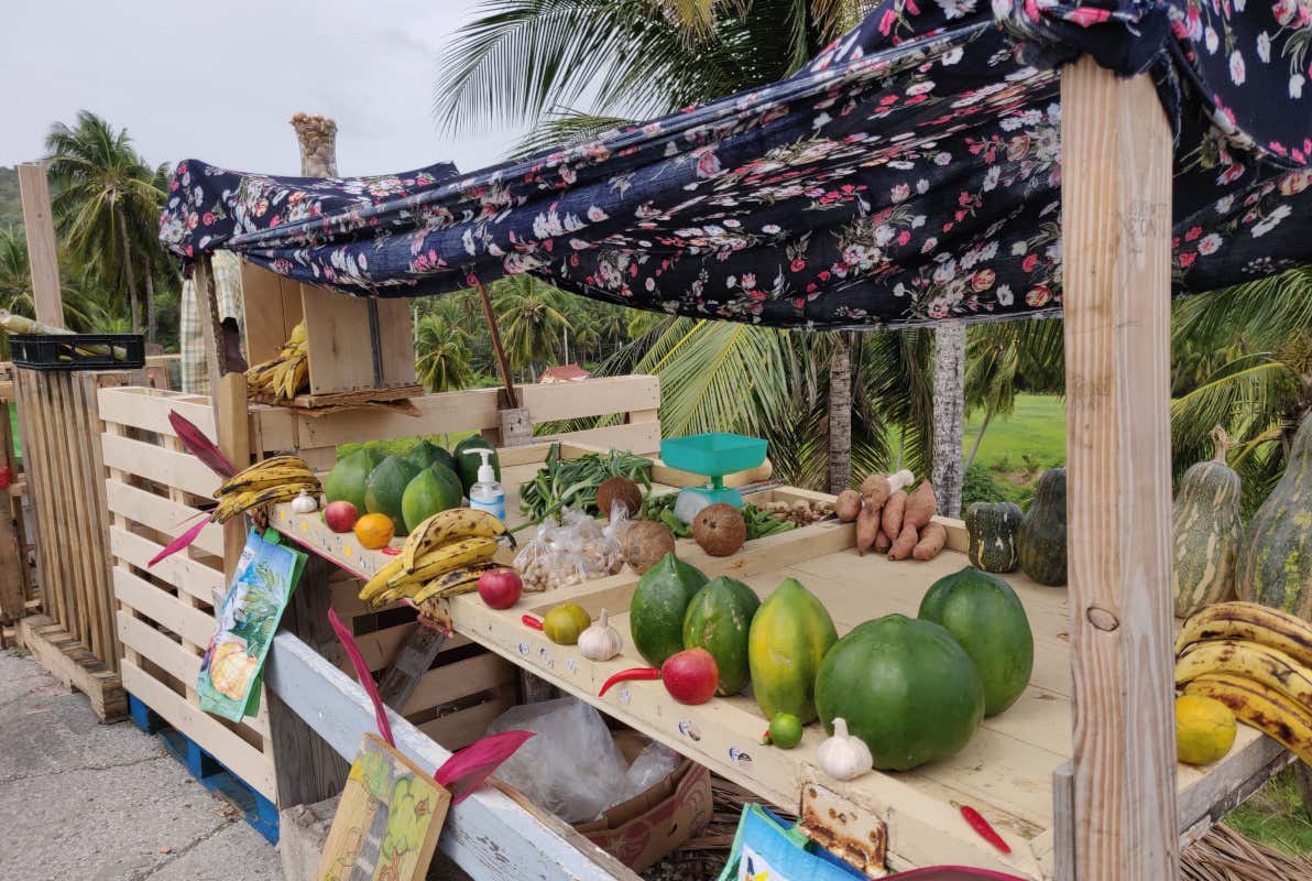 Barbados - Camping Barbados East Coast Il giro del mondo outdoor è possibile. Ecco qualche idea Barbados - Camping Barbados East Coast Il giro del mondo outdoor è possibile. Ecco qualche idea