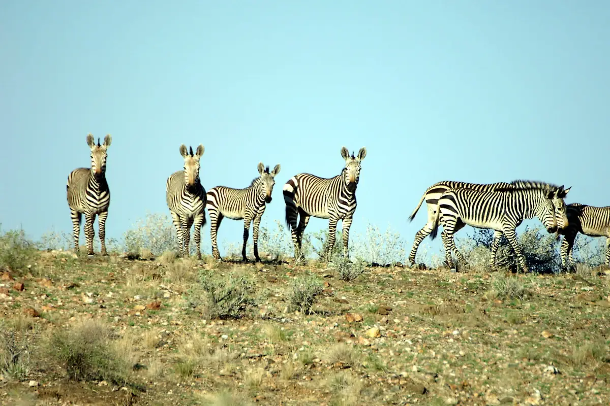 Namibia - Rooisand Desert Ranch Il giro del mondo outdoor &egrave; possibile. Ecco qualche idea