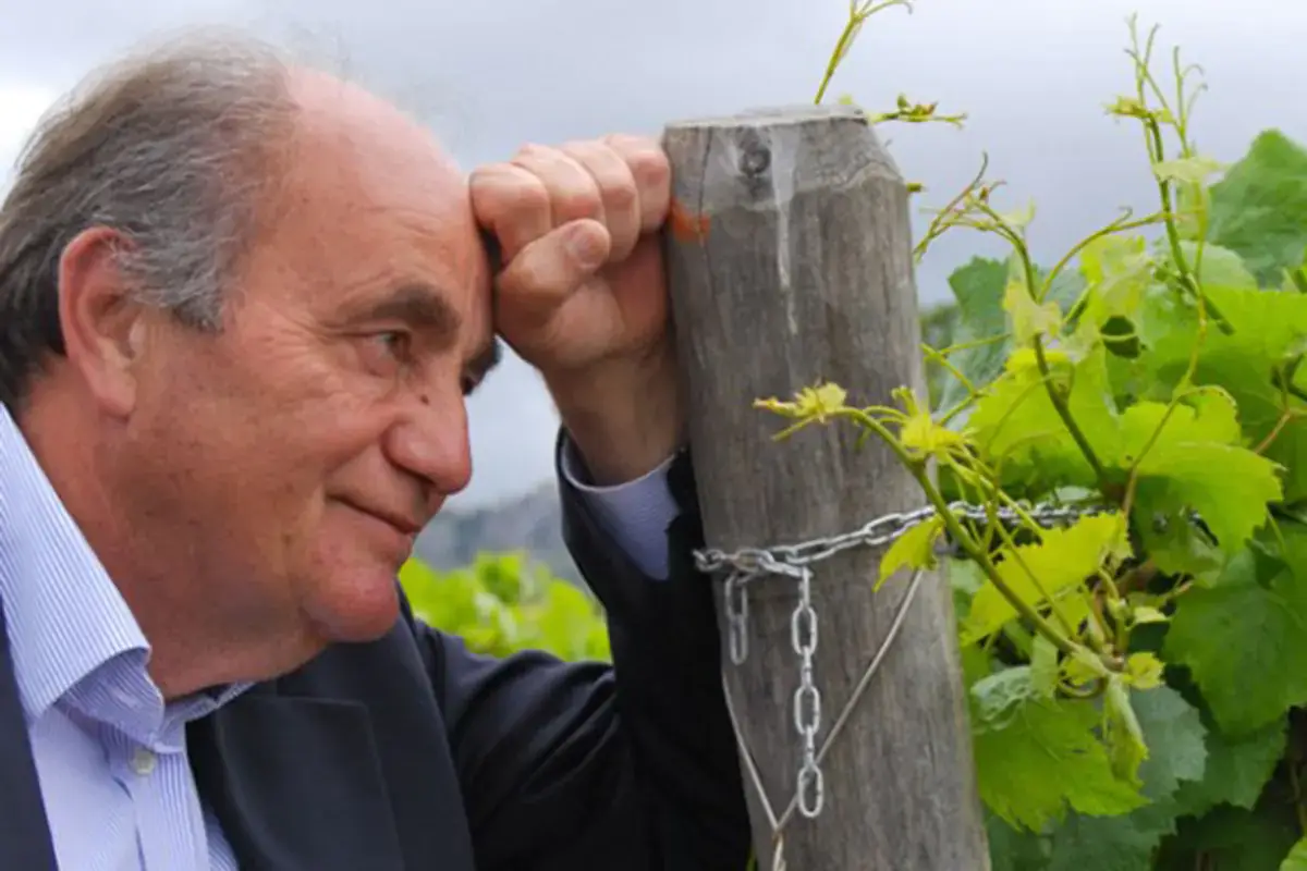 Giuseppe Pagano Le degustazioni non bastano pi&ugrave;, il successo delle cantine passa dall'interazione con il territorio
