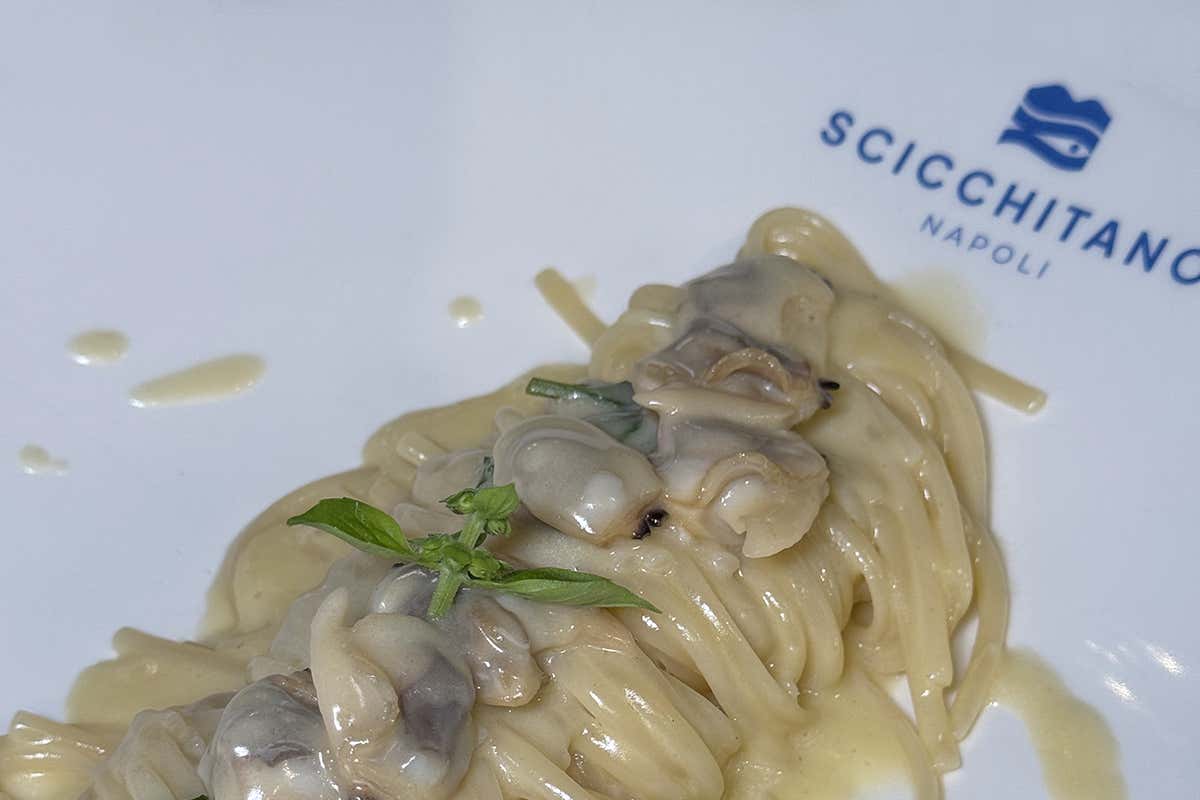 Crudo, cotto e identità: il mare di Napoli secondo Giuseppe Scicchitano