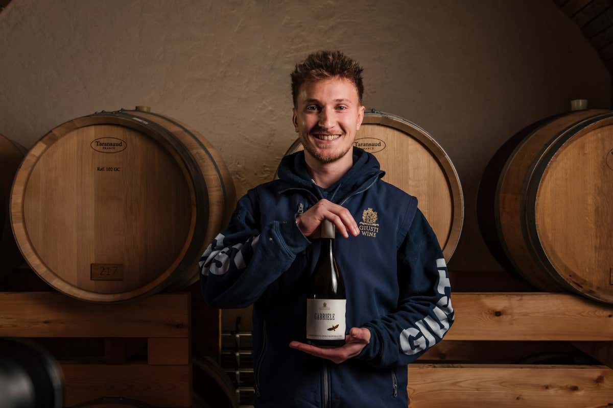 Dal Montello al Canada e ritorno: il vino di Giusti nasce da una sfida personale