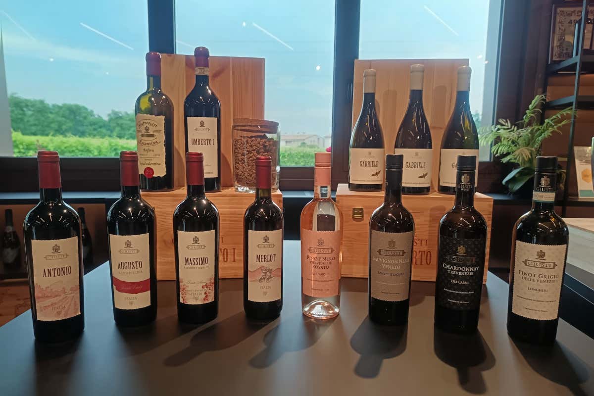 Dal Montello al Canada e ritorno: il vino di Giusti nasce da una sfida personale