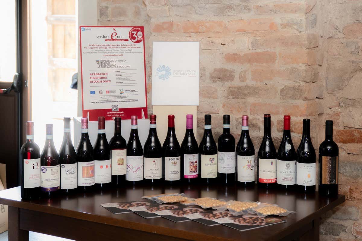 I 30 anni della Doc del Verduno Pelaverga, il vino rosso speziato del Piemonte I 30 anni della Doc del Verduno Pelaverga, il vino rosso speziato del Piemonte