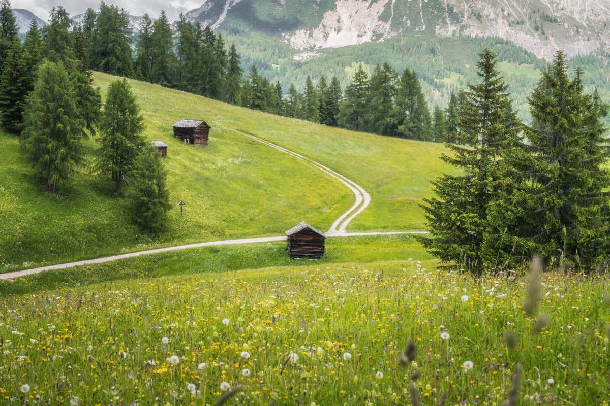 Hotel Ama Stay: una stagione tra avventura e arte in Alto Adige