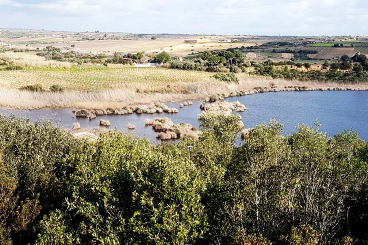 Vigneti sul laghetto Rosa dei Venti e Rajah, vini che raccontano la Sicilia