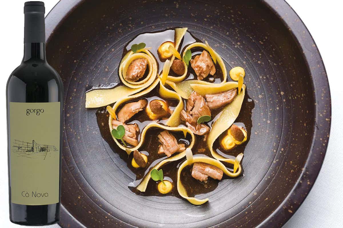 £$L’Italia del vino$£: tre grandi rossi veronesi a base di Corvina