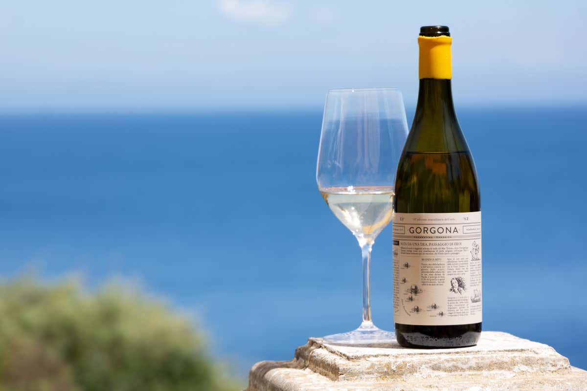 Gorgona 2025, il vino nato sull’isola-carcere che racconta riscatto e mare Gorgona 2025, il vino nato sull’isola-carcere che racconta riscatto e mare