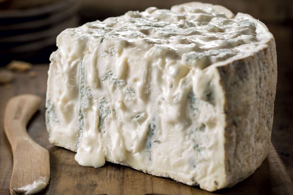 I blue-cheese cambieranno colore in futuro, ma non il Gorgonzola: ecco perché