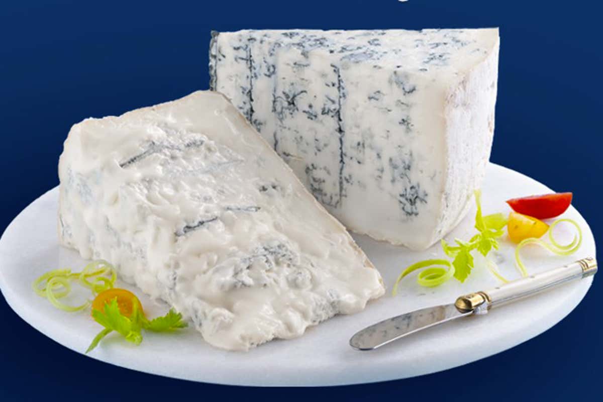 Nasce il nuovo impianto che trasforma il siero del Gorgonzola in integratori Nasce il nuovo impianto che trasforma il siero del Gorgonzola in integratori