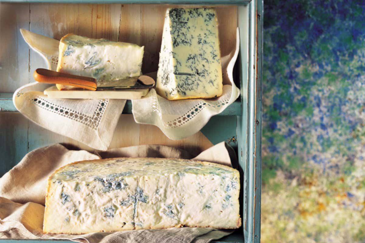 Export Gorgonzola Dop 2025: la Francia cresce, Germania in calo Export Gorgonzola Dop 2025: la Francia cresce, Germania in calo