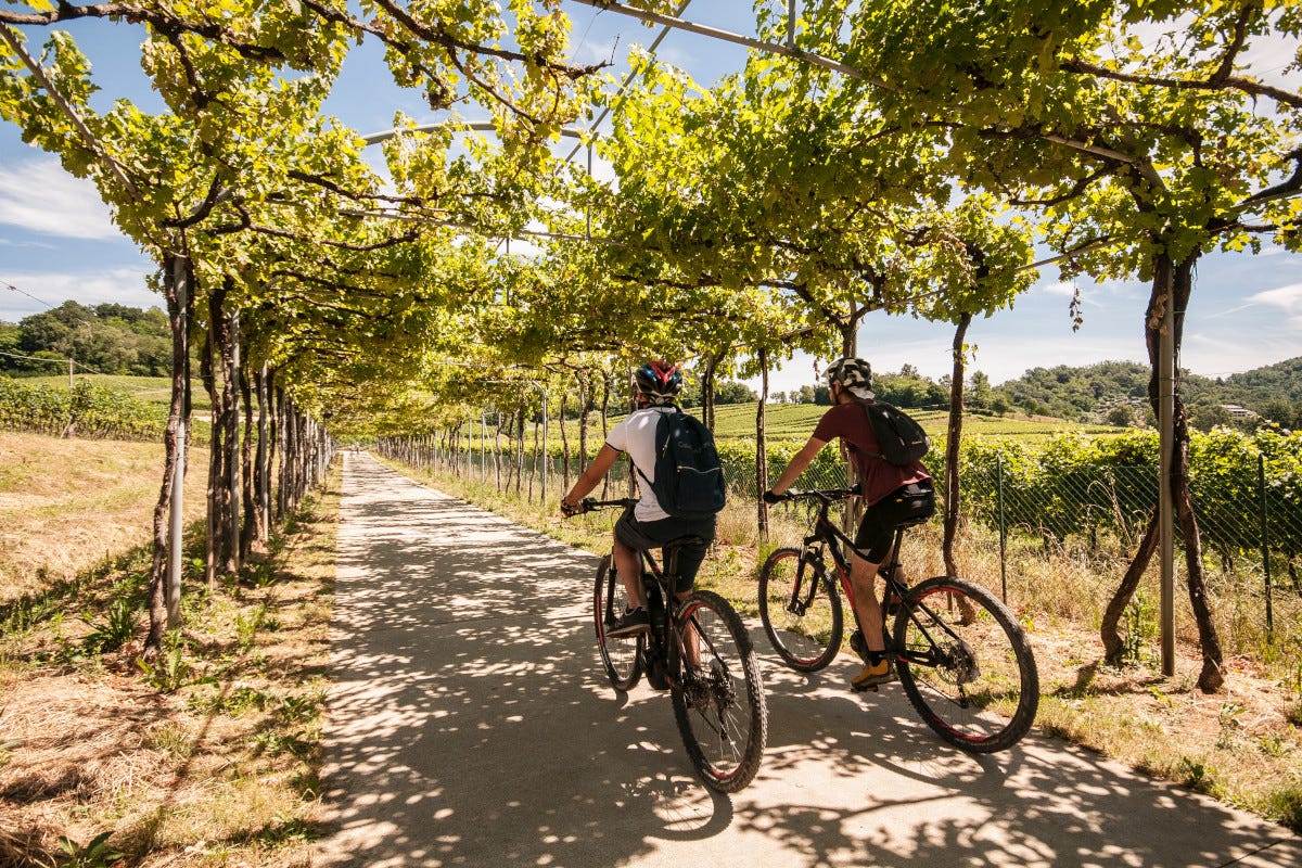 Natura e bicicletta a Gorlago  Alla scoperta di Gorlago borgo nobile a pochi chilometri da Bergamo