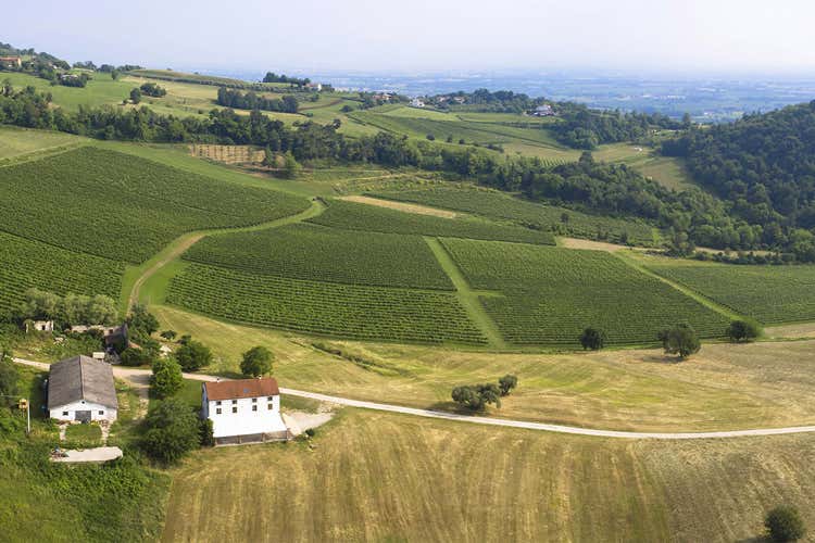 Il territorio vicentino sar&agrave; protagonista del Gourmet Festival (Al Gourmet Festival di Vicenza la Guida delle eccellenze locali)