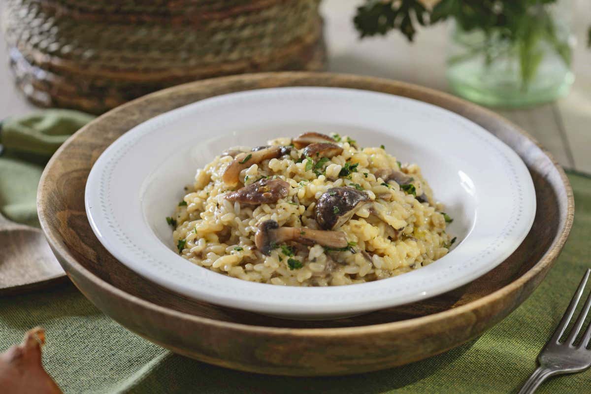 Risotto ai funghi di Gourmet Italia