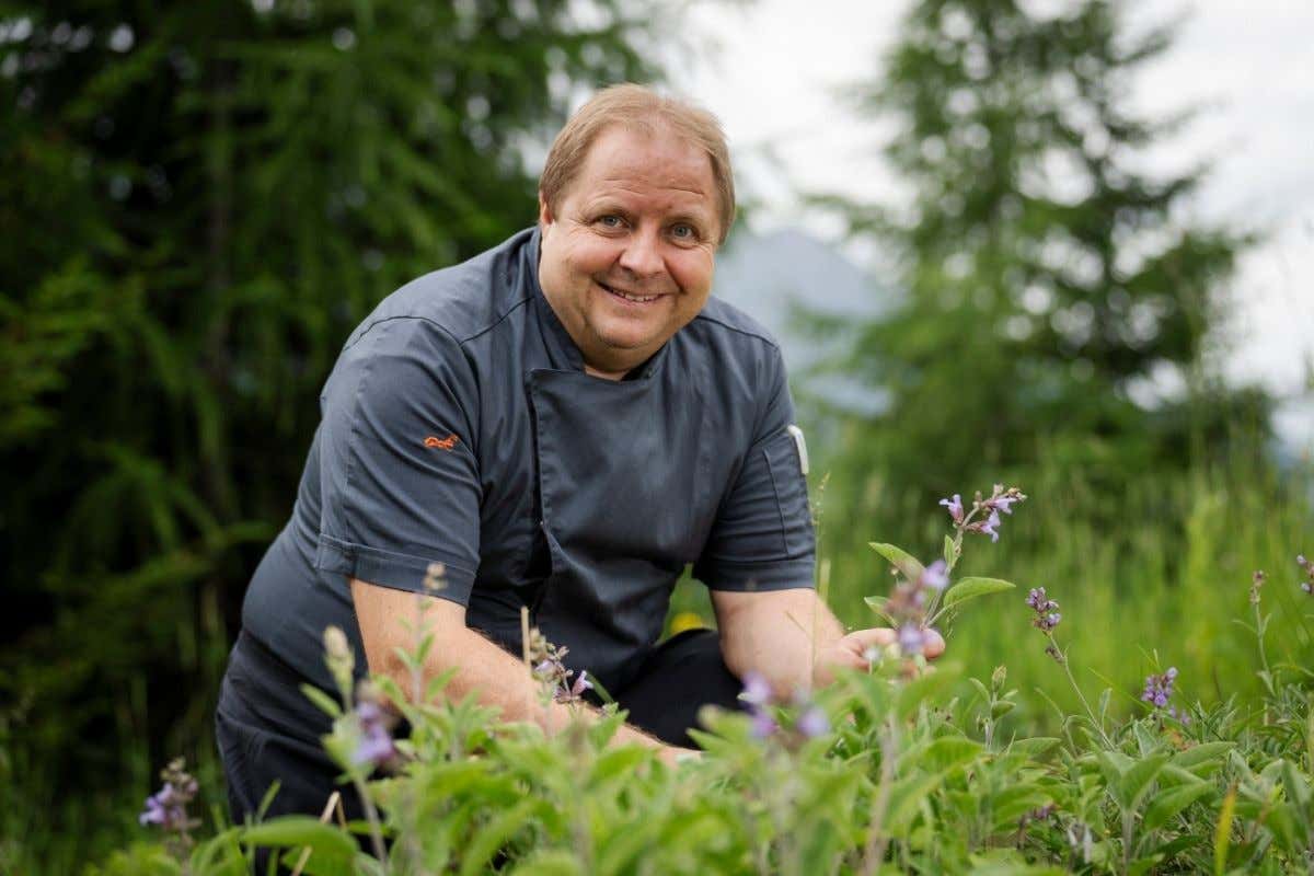 Gradonna Mountain Resort, un'oasi di verde e relax ai piedi del Großglockner 