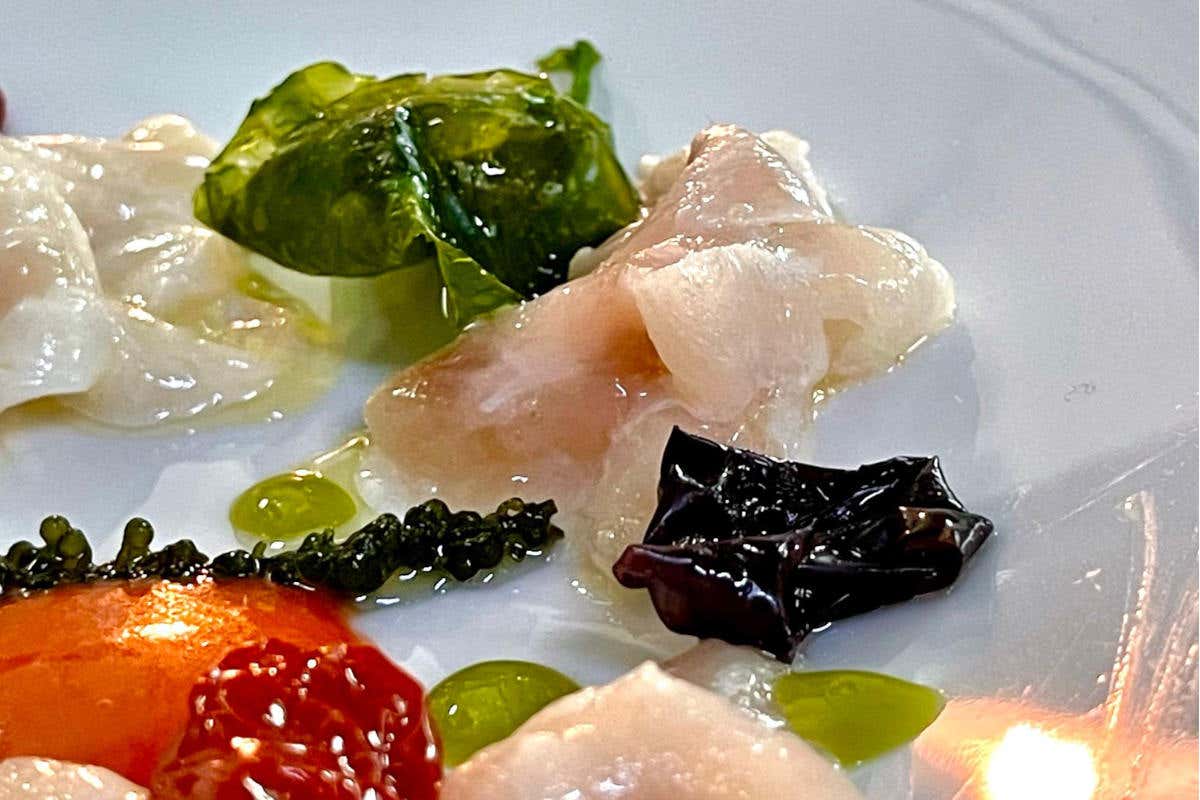 Spigola all’acqua pazza Euro 2020 (Paolo Gramaglia, President *)  L'Italia di Mancini va sulle stelle. Ecco come la celebrano gli stellati