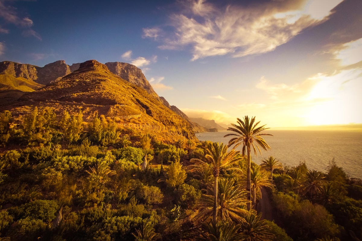Le Canarie offrono magnifici paesaggi per immergersi nella natura più incontaminata 