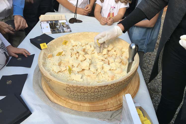 (Grana Padano Dop Tutto iniziò all'Abbazia di Chiaravalle) (Grana Padano Dop Tutto iniziò all'Abbazia di Chiaravalle)