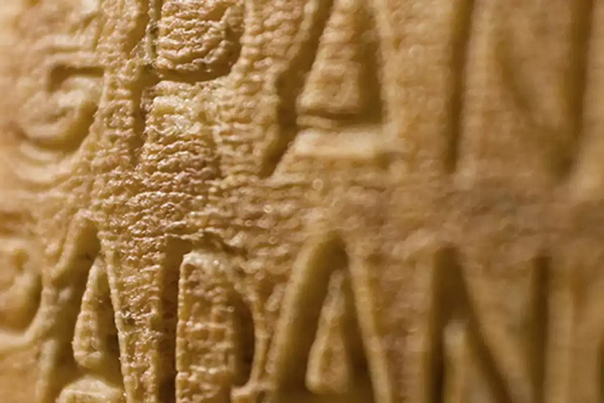 Il legame del Consorzio con la Fondazione Rava &egrave; iniziato nel 2004 Grana Padano con Fondazione Rava: alla Scala per Haiti