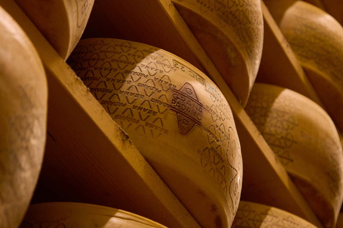 Grana Padano, 500 milioni di euro per investire sul futuro della filiera Grana Padano