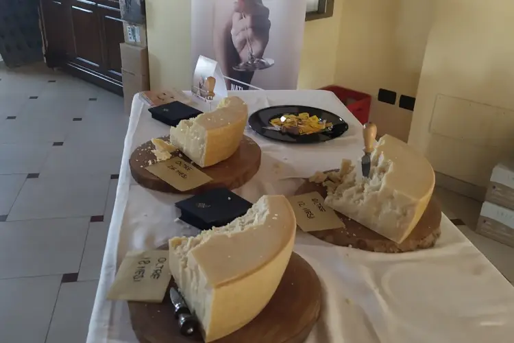 Il Grana Padano da degustare Vini lombardi e Grana Padano si incontrano a Golosaria Wine