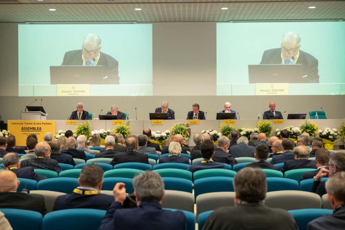 Grana Padano: bilancio 2025 da record e quasi 3 milioni di forme esportate