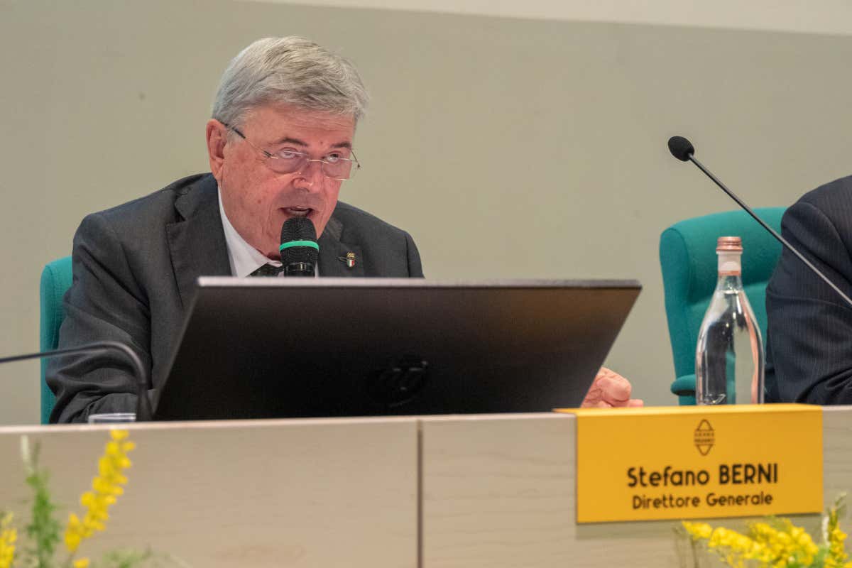 Grana Padano: bilancio 2025 da record e quasi 3 milioni di forme esportate