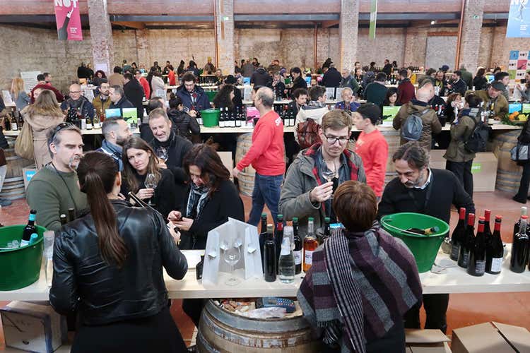 (Un grande successo per Not La prima rassegna dei vini franchi)