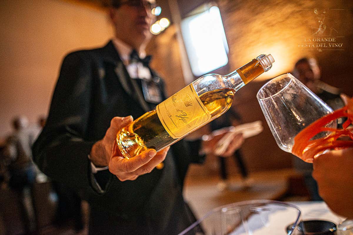 La Grande Festa del Vino® torna a Villa Farsetti con la 19ª edizione il 26 e 27 settembre 2026