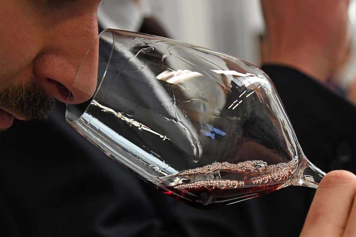 Dalle Langhe le soluzioni per il lavoro in vigna: meno irregolari e pi&ugrave; formazione
