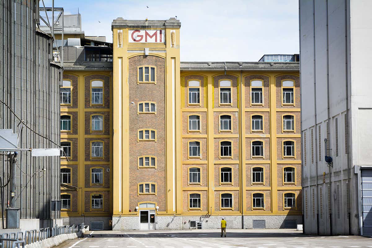 Grandi Molini Italiani: esperienze, formazione e farine per consumatori e professionisti